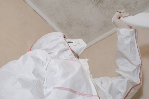 Best Emergency Mold Remediation in Deer Park, NY