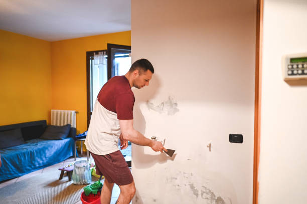 Best Mold Remediation for Specific Building Types in Deer Park, NY